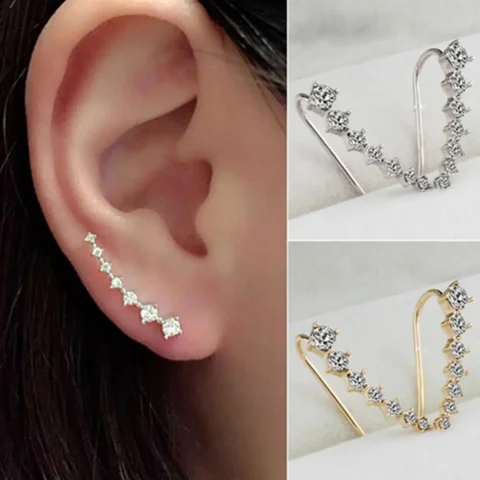 Zircon Ear Hook Earrings
